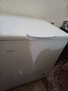Deep Freezer Haier