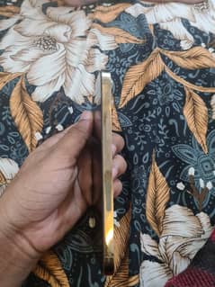 12 pro max 256 gb factory unlock