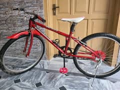 Bicycle sports style