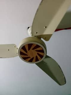 use condishion ok fan