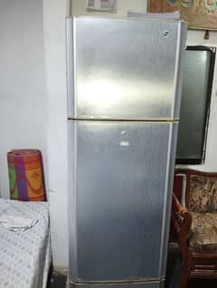 PEL desiremore refrigerator