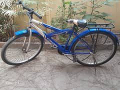 Jumbo size Bicycle