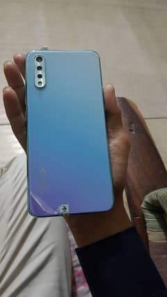 vivos1