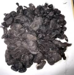 2 Feet Plus Long Natural Women Hairs Weight 0.48 KG