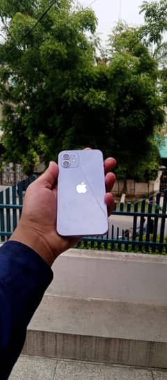 iPhone 12