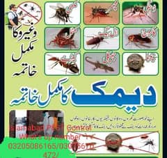 Fumigation Cockroaches Dengue Mosquito Spray/Termite Proofing/water. .