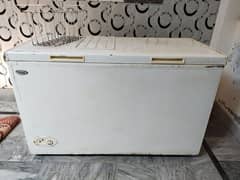 D Freezer / Refrigerator larg size
