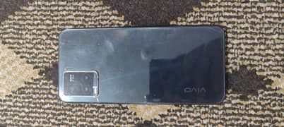 vivo