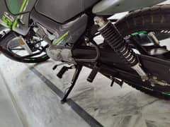 i am selling my ybrg 10 by 10 condition just like brand new