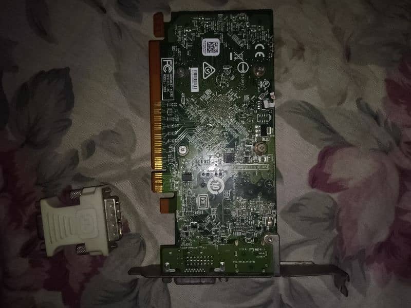 AMD RADEON R5 DDR5 IN Best Budget card 2