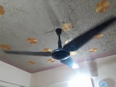 3 Ceiling Fans