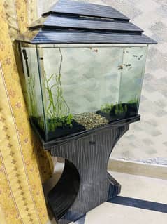 Home aquarium for sale
