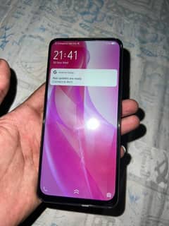 vivo