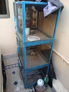 40 kg heavy metal cage for peigons parrot or hen