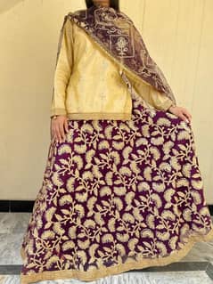 Fancy Lehnga