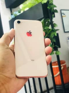 I phone 8 pta approved