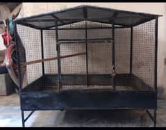 iron cage26o ropea fot jali Wala acha cage raw cattea parrot kea liyea