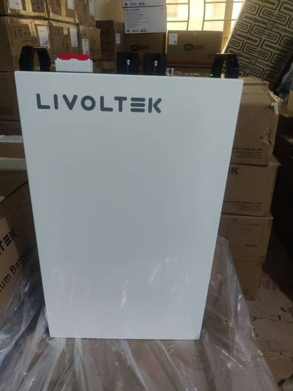 lithium ion battery 24 volt 100 Ah/inverters (levoltek) 2