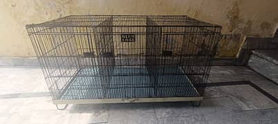 Ali bird cage