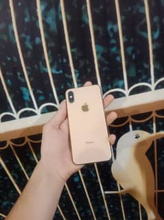 IPHONE XS 64GB PTA