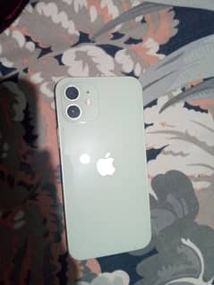 03155049700