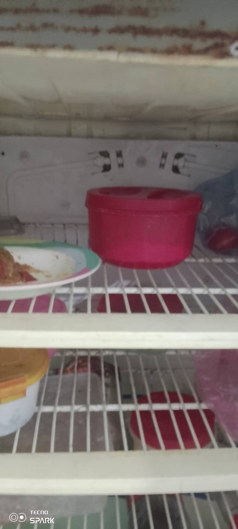 Full size fridge, working conditions perfect 4