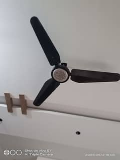 Ceiling