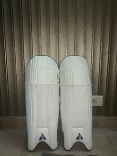 Hard Ball cricket kit
