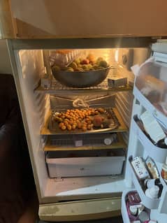 Pell fridge for sale