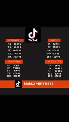 Instagram TikTok and YouTube subscribers