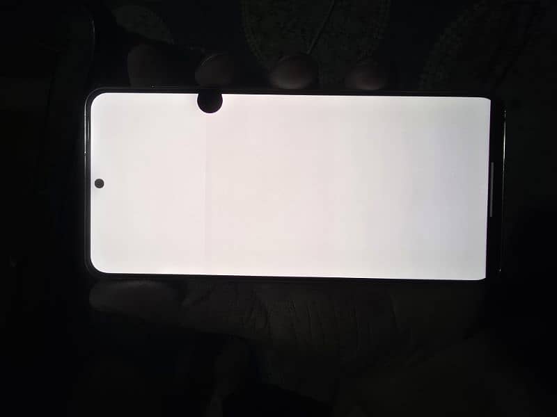 s21 12/256 gb non pta but sim working dot and minor shade 6