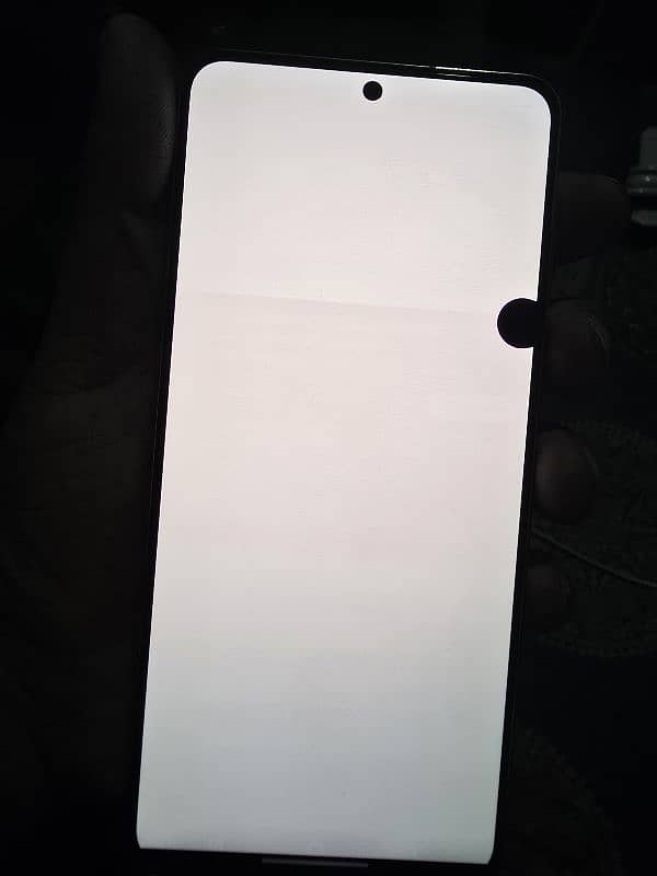 s21 12/256 gb non pta but sim working dot and minor shade 10