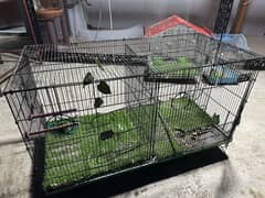 2 Fordable Breeding cage