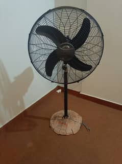 Royal Pedestal Fan