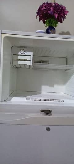Samsung Non-Frost Refrigerator