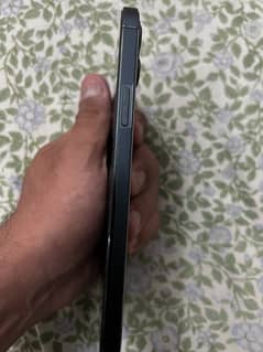 12 pro max FACTORY UNLOCK