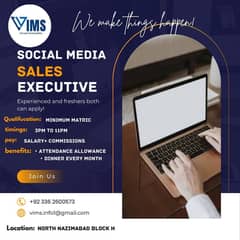 Sales Executive