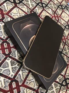 iPhone 12 Pro Max PTA Approved