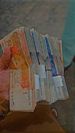 Assignment work Available Pure and Authentic