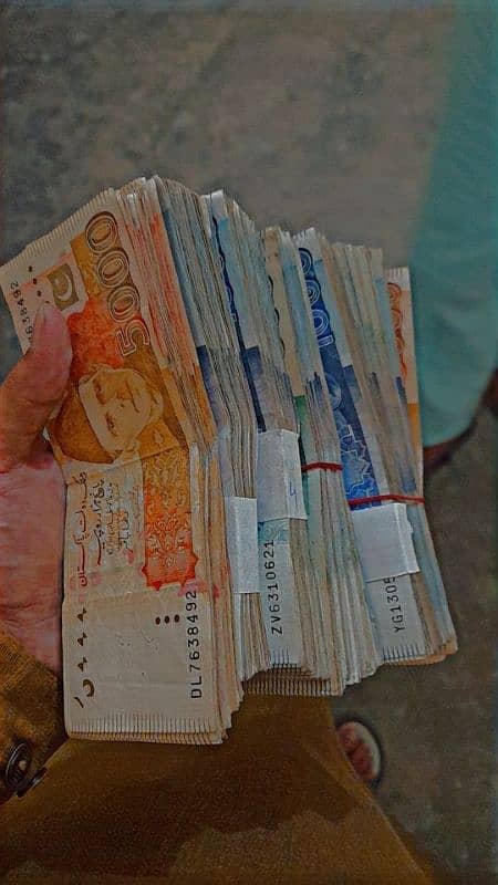 Assignment work Available Pure and Authentic 0