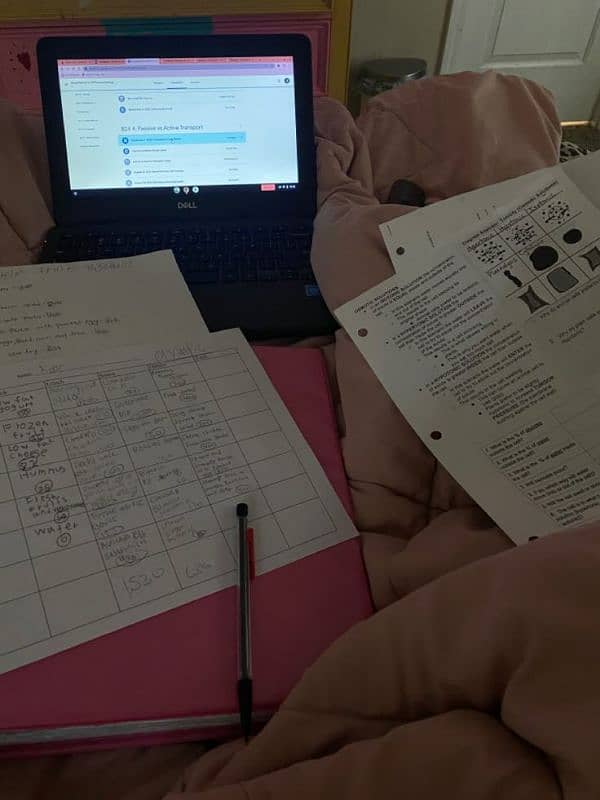 Assignment work Available Pure and Authentic 1