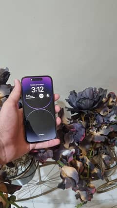 iphone 14 pro