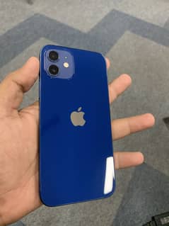 12 pta approved Hk with box
