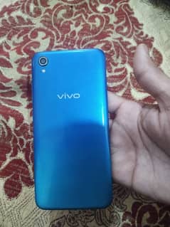Vivo