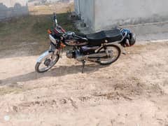 Bike for rent