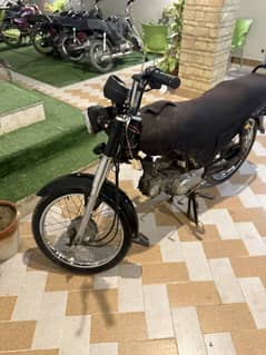 Unique 70cc 2023