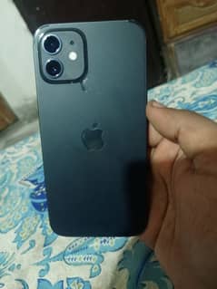 12 mini