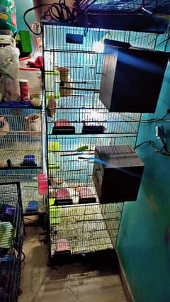 All cages, and accessories setup sell 034*23710634