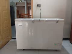 Haier Two Door Deep Freezer