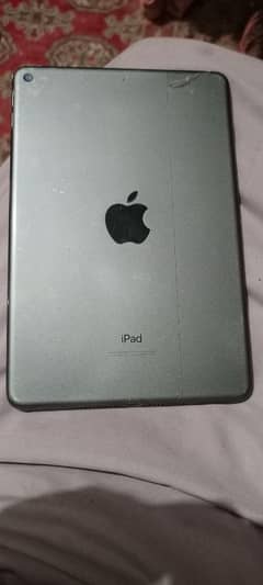 ipad mini 5